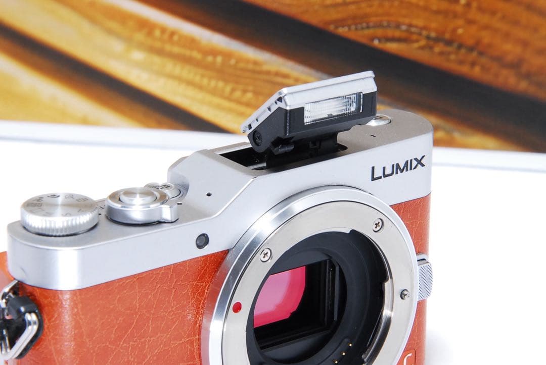 LUMIX GF9 オレンジ 4k SNS Wi-Fi チルト ミラーレス