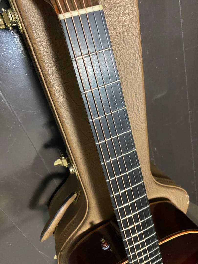 アコースティックギター　w.carter