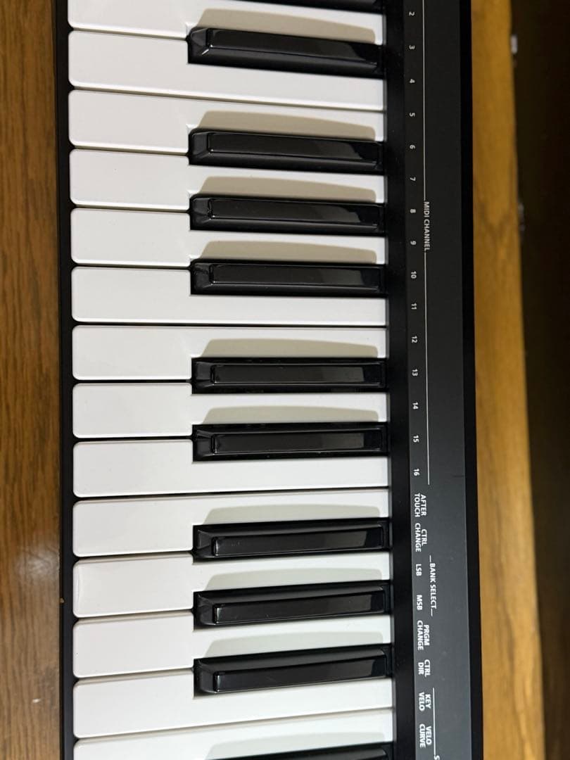 ROLAND ( ローランド ) A-49 ブラック　MIDIキーボード