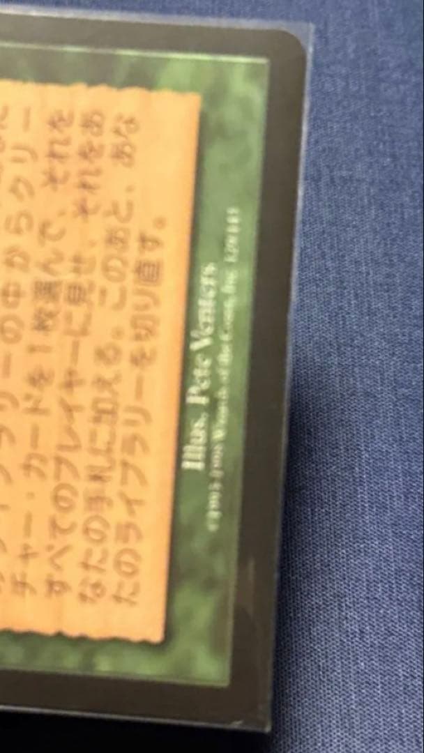 匿名配送　適者生存 magic MTG 日本語　プレイ用