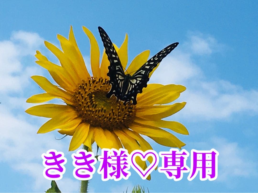 きき様❤️おまとめ専用ページです。2/8まで♡