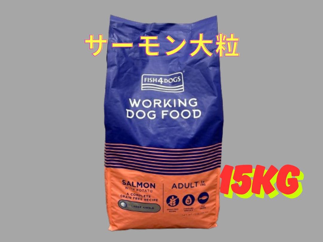 ここちゃん