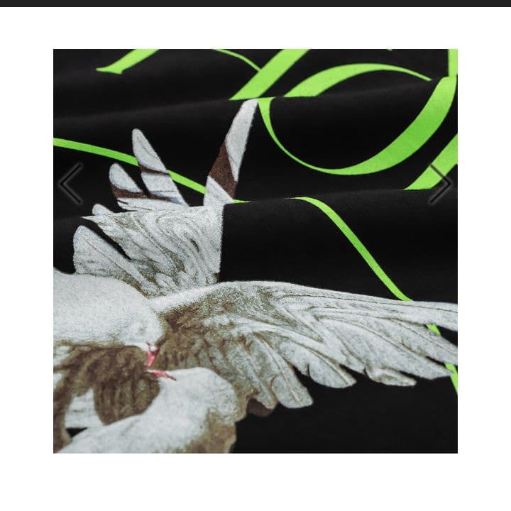 the GazettE　DOVE CIRCLE TEE