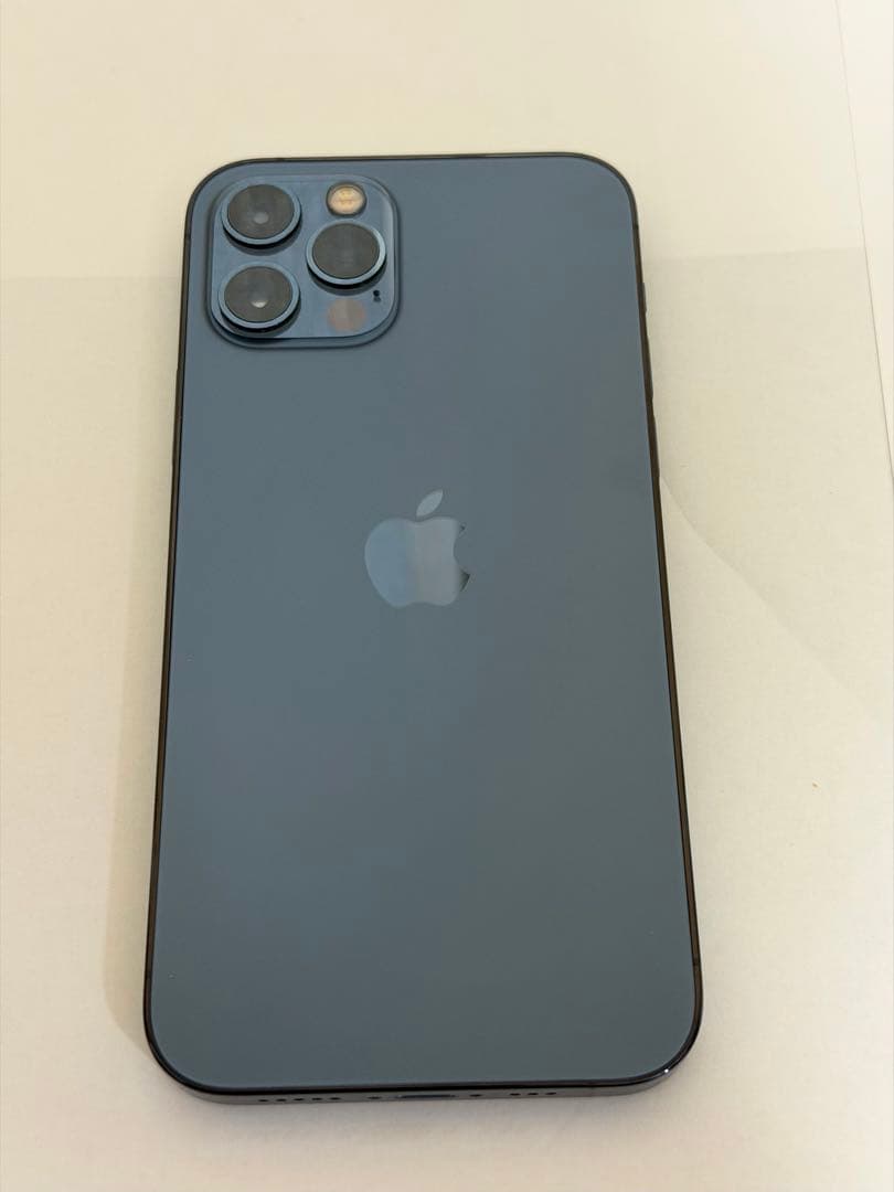 Apple iPhone 12pro 256gb +おまけ
