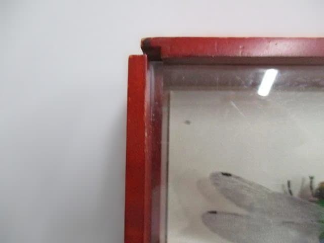 【中古品】昆虫標本　カブトムシ・クワガタ　まとめ売り