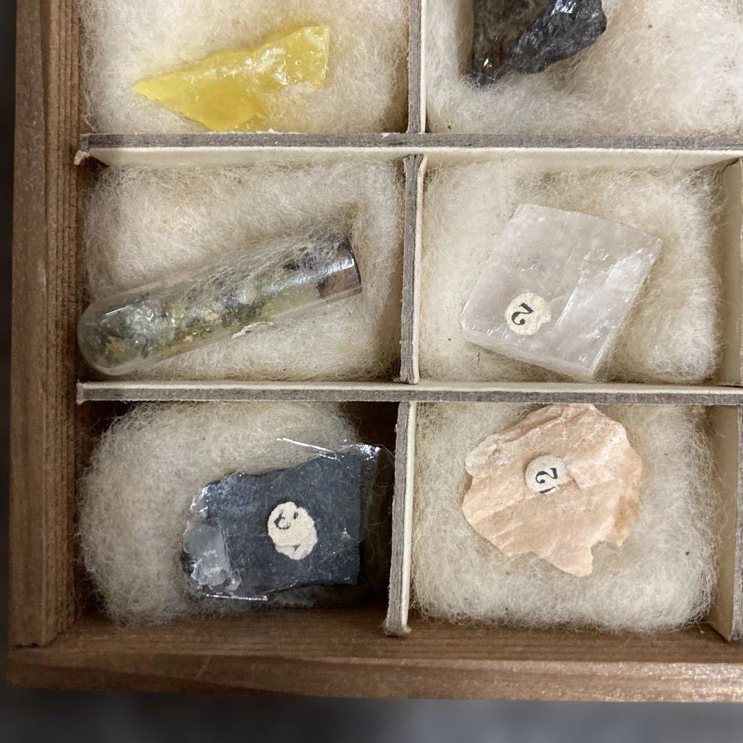 トワカス 木製鉱石標本箱 12個収納