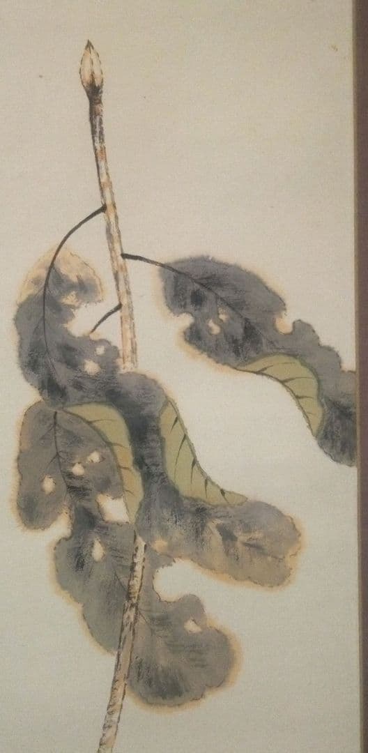 小杉放庵直筆紙本掛け軸共箱付き(題名霜の河雀)