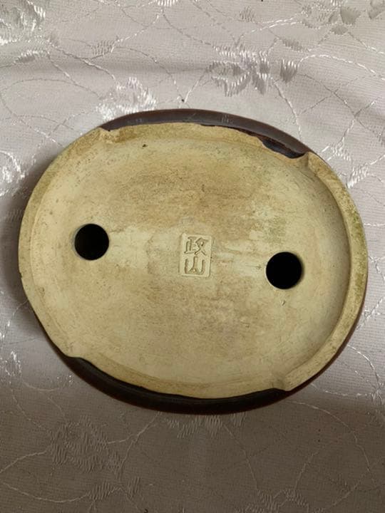 政山　盆栽鉢