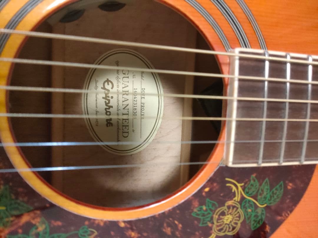 Epiphone アコースティックギター ハミングバードダブ