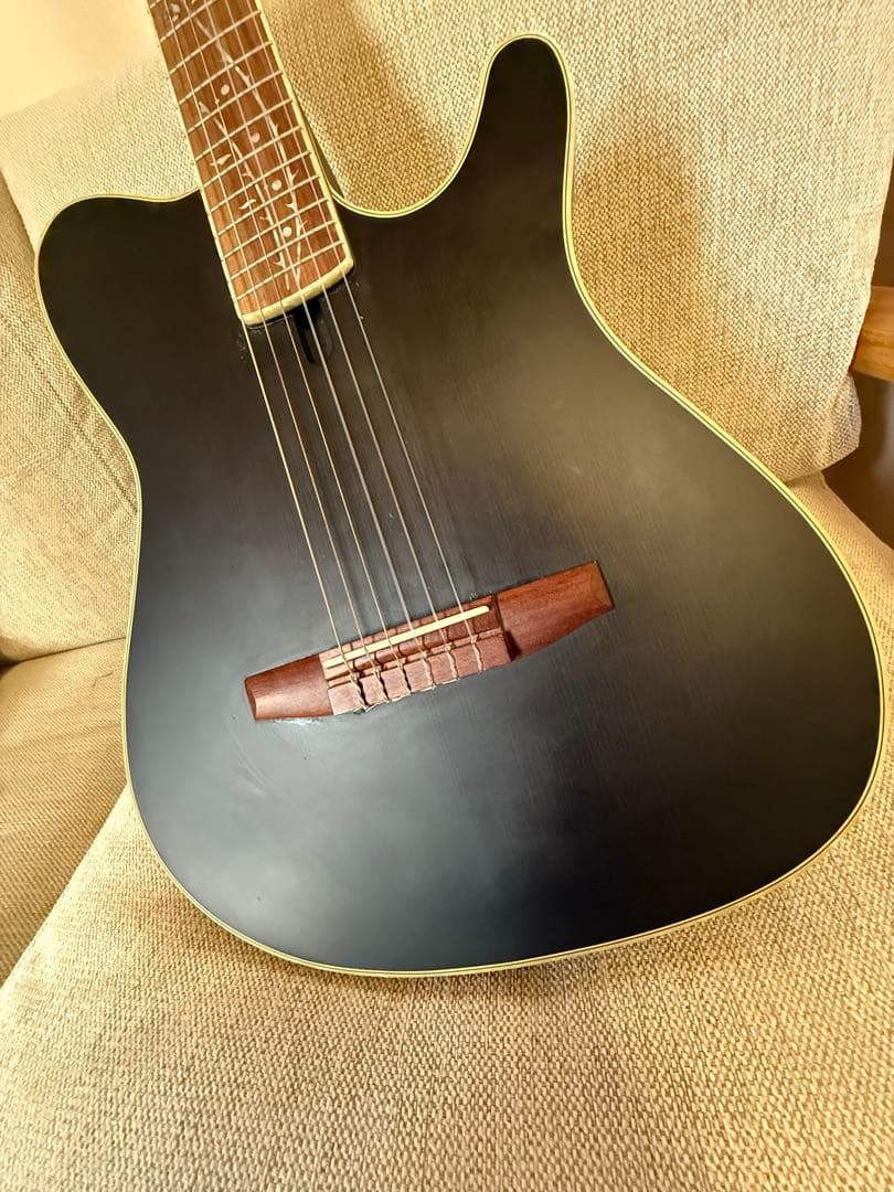 Ibanez TOD10N ナイロン弦 Tim Hensonモデル