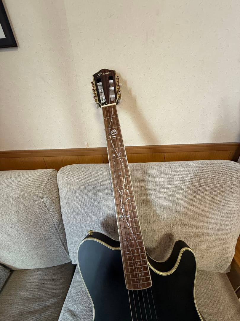 Ibanez TOD10N ナイロン弦 Tim Hensonモデル