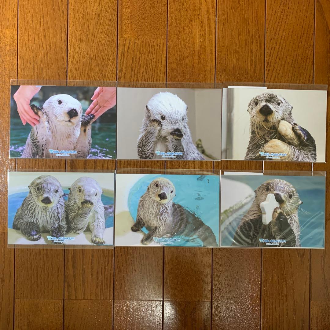 カプくじ×鳥羽水族館　ラッコのメイちゃんくじリターンズ！