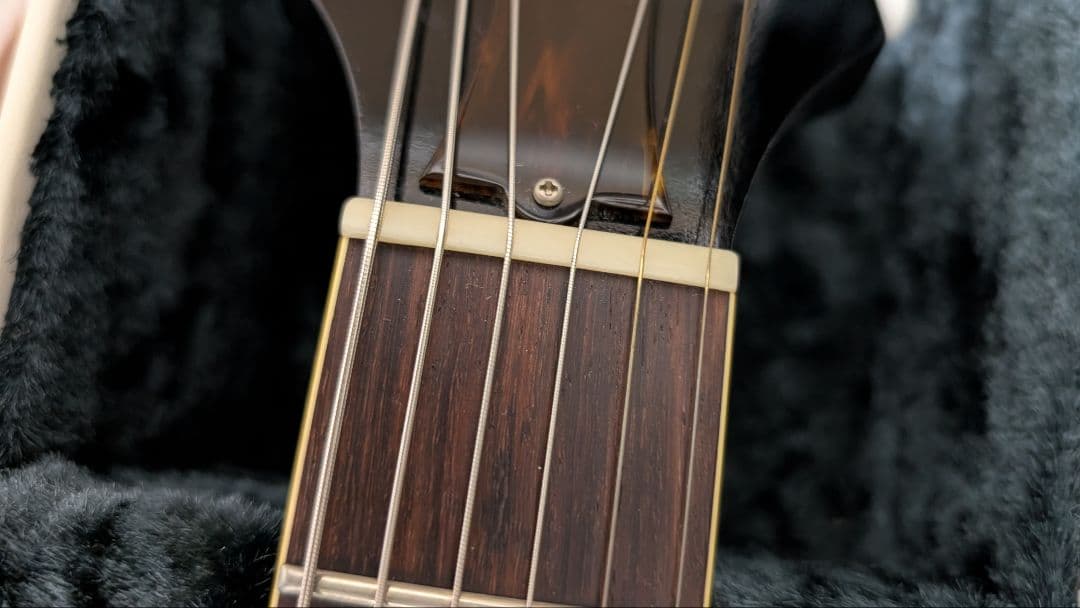 がく king snake smith フルアコ　es-330　寺田楽器