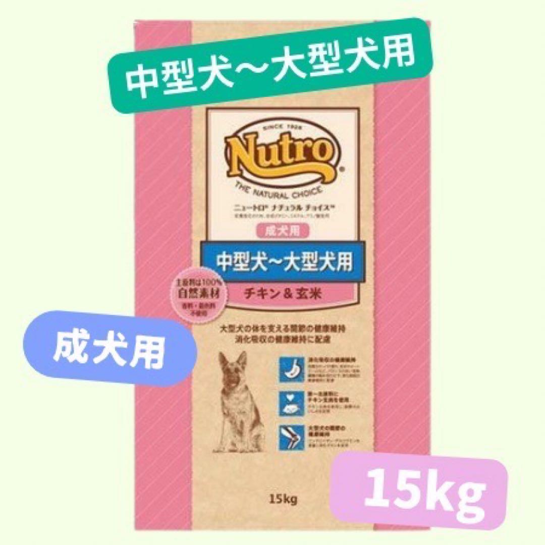 ちゃいちゃん