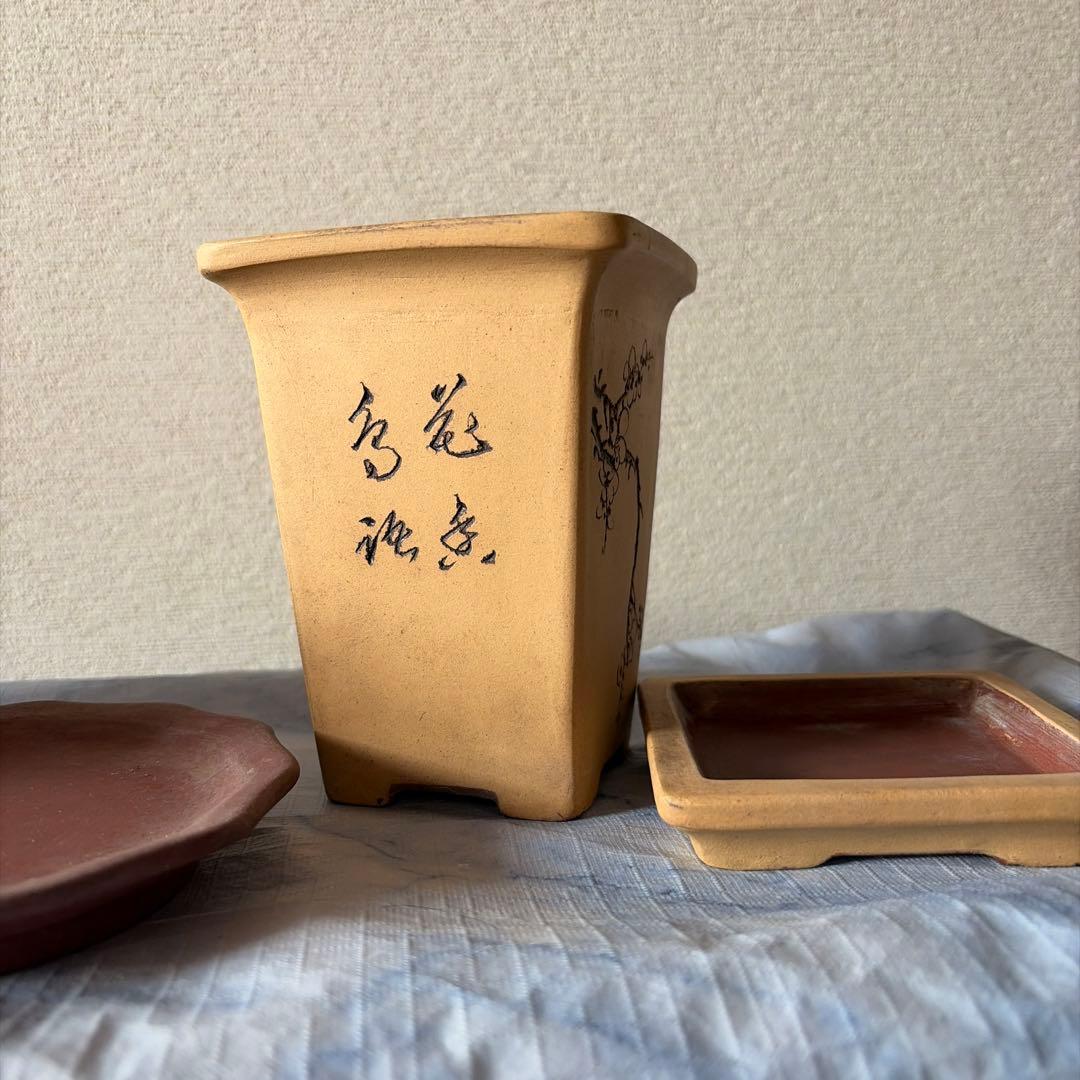 植木鉢　中国宜興　宜興　朱泥　盆栽