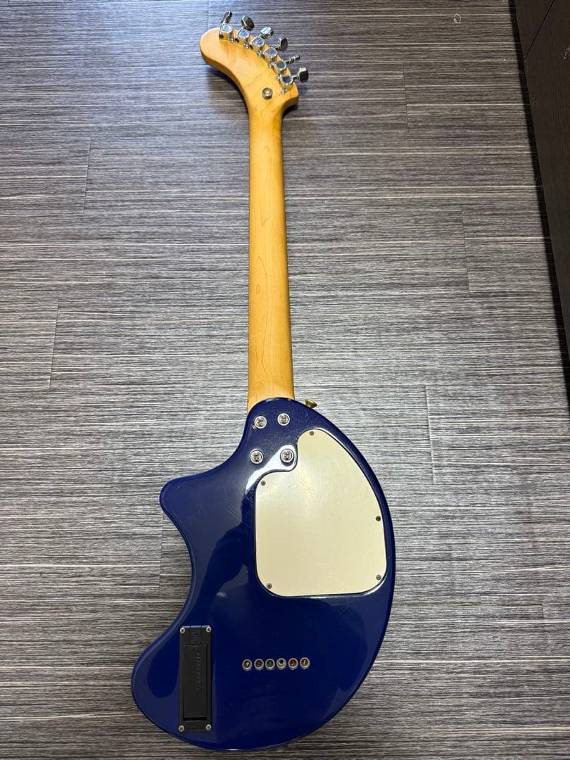 ギター FERNANDES