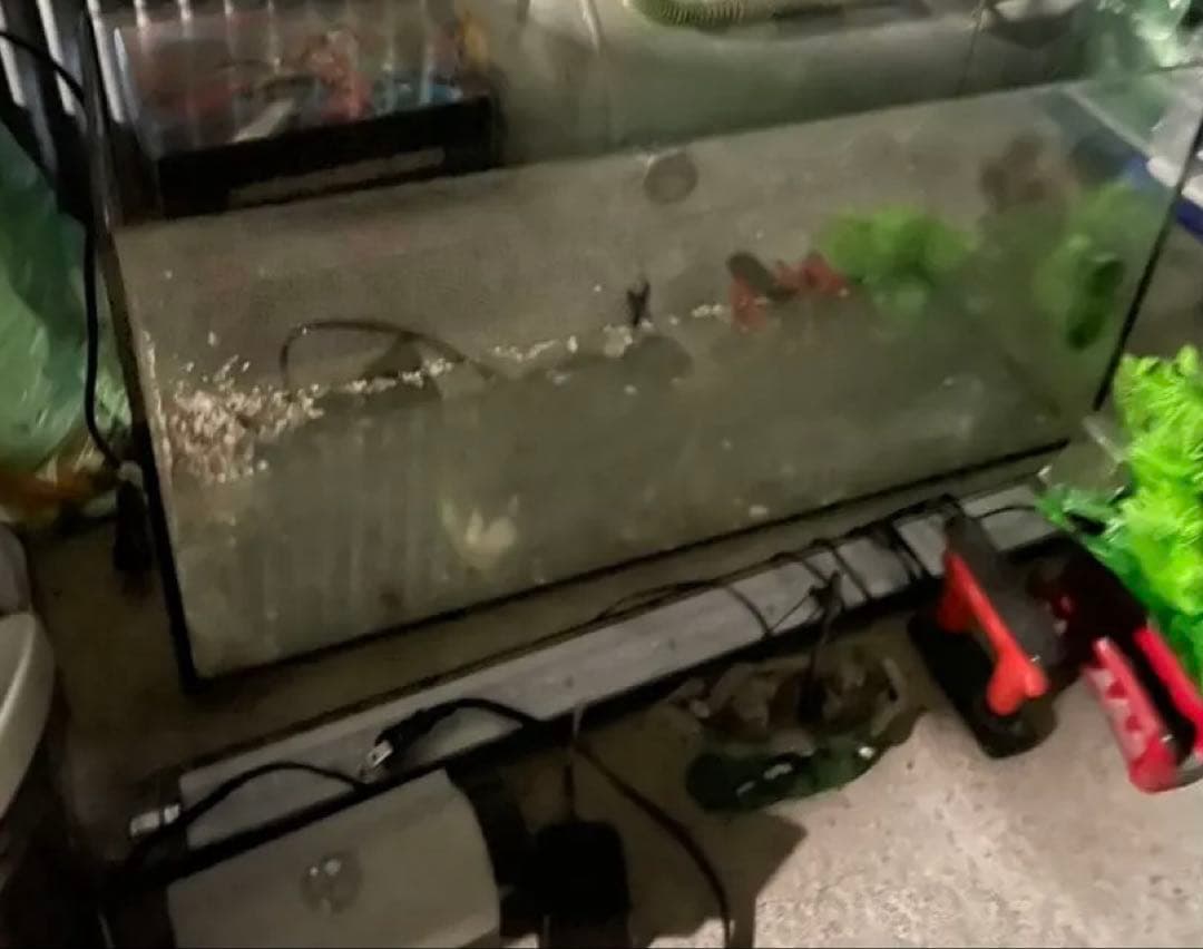 60cm水槽　外部フィルター　引き取り限定