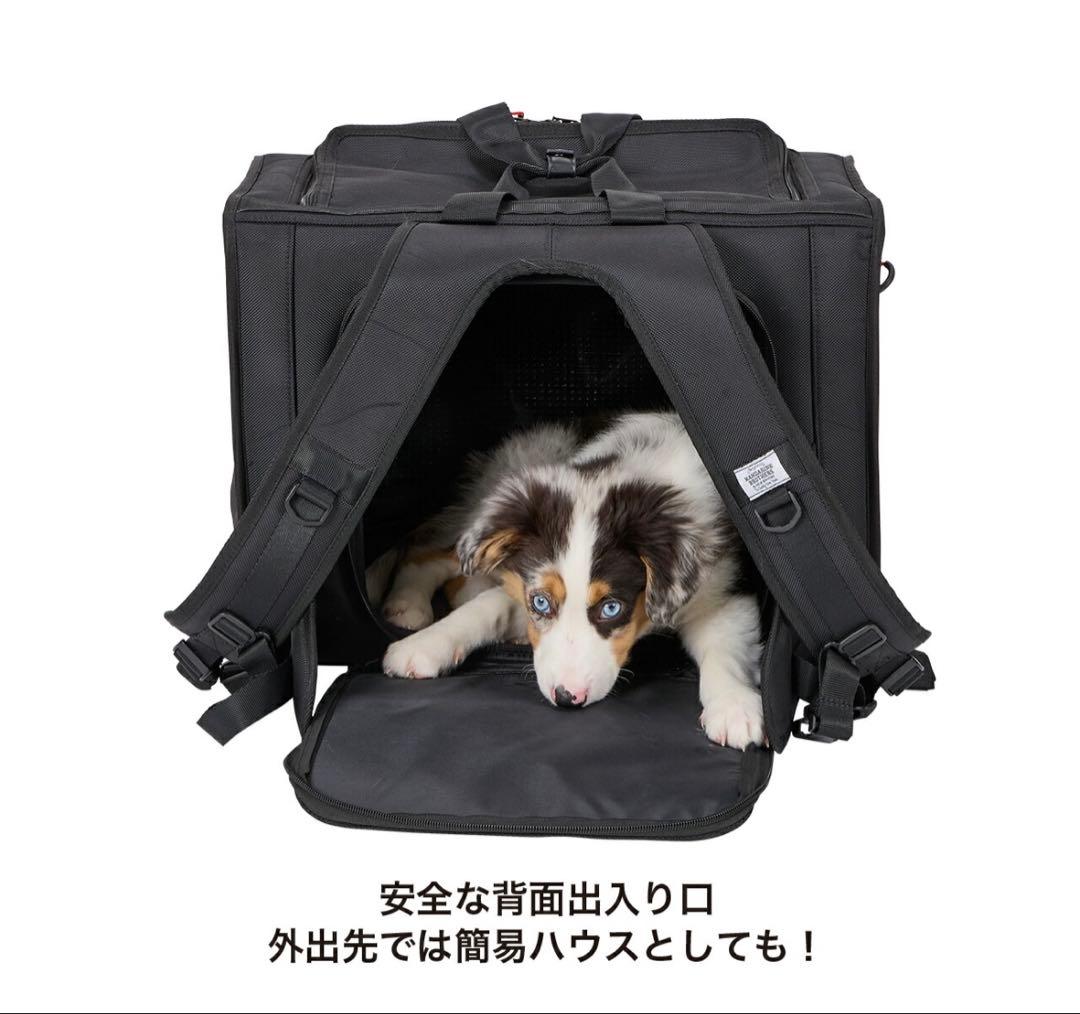 ブリクストンキャリーバックパック ワイド ※リニューアル　ブラウン　M