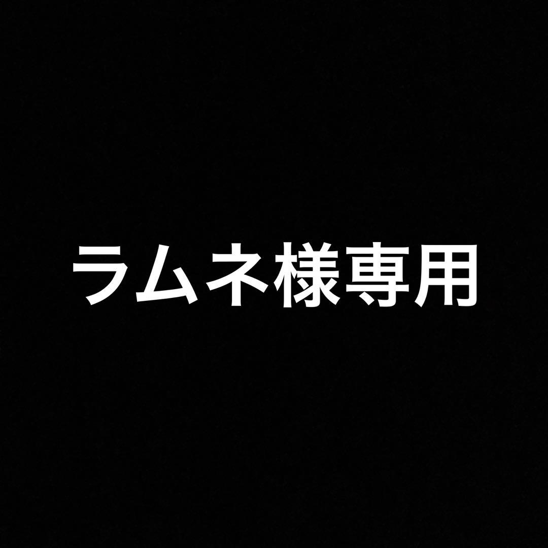 専用出品です。