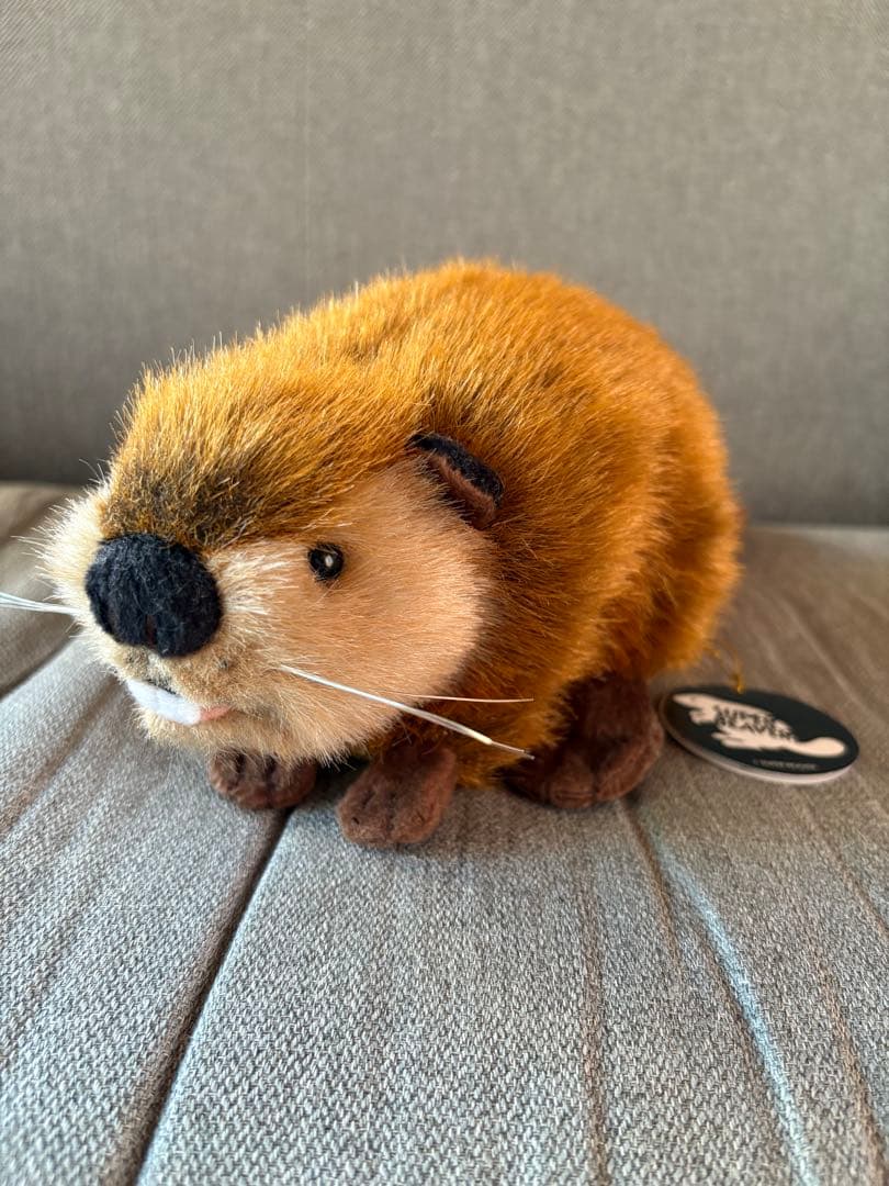 スーパービーバーちゃん SUPER BEAVER ぬいぐるみ