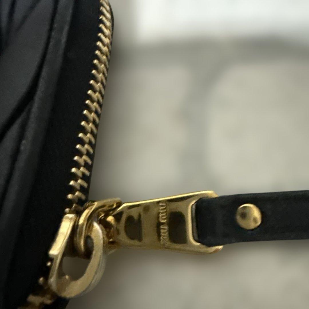 MIU MIU、ケース
