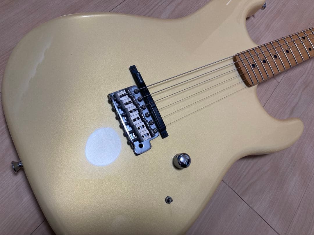 Deviser オーダーGK仕様ストラト　momose bacchus