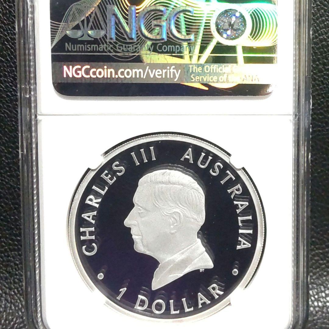 【最高鑑定】2024年 白鳥 1オンス銀貨 NGC PF70 純銀