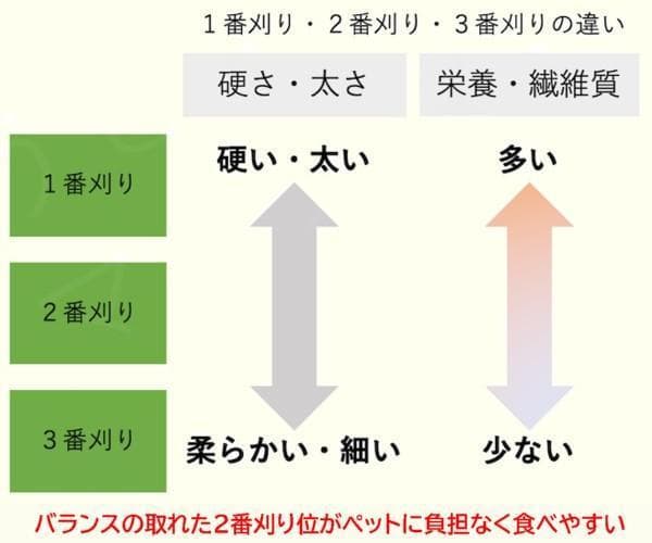 【3/23まで】US産 チモシー 30kg ２番刈 ソフトSプレミアム