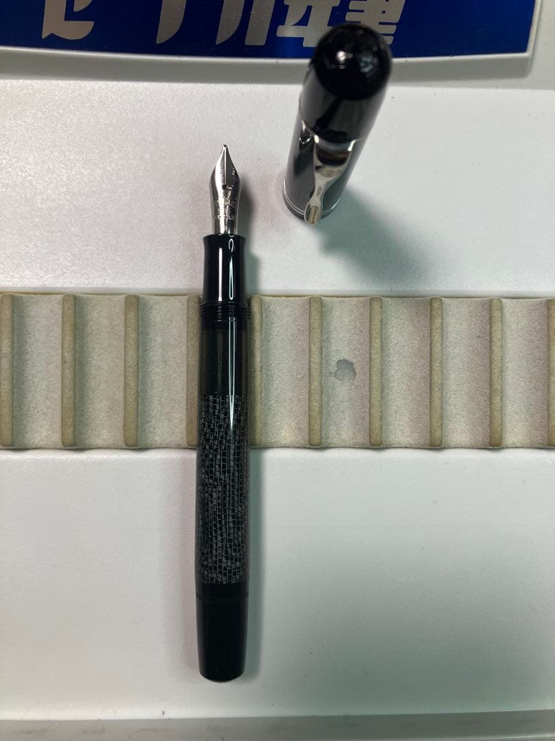Pelikan　ペリカン　M101N　リザード　M-nib