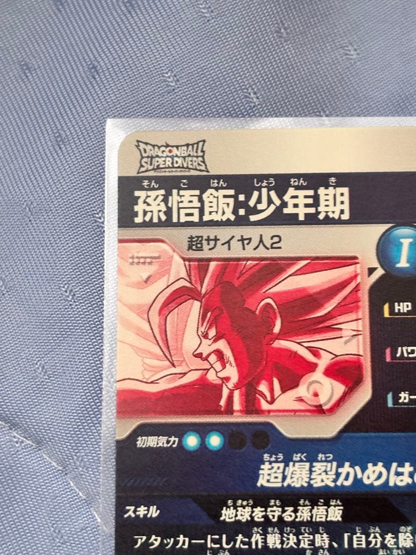 T*p様 SDV5-008