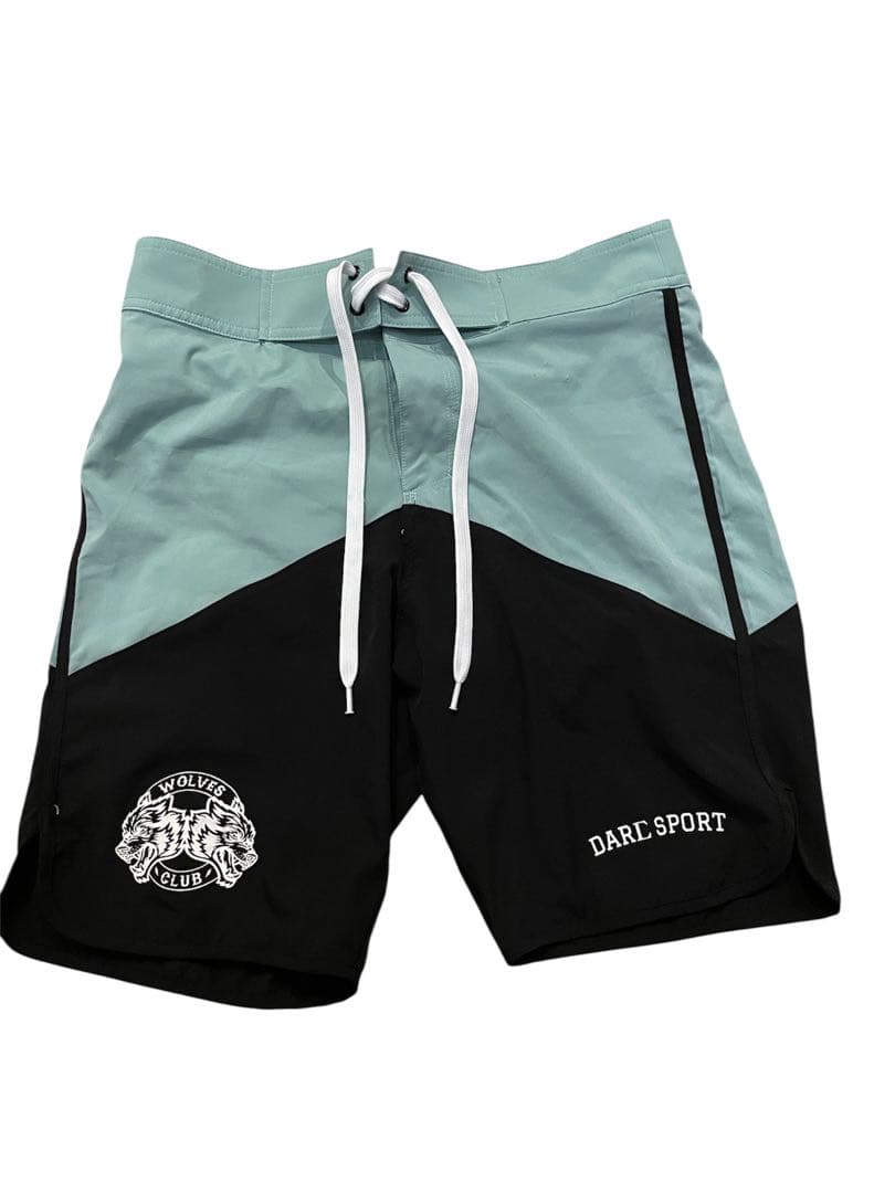 DARC SPORT サーフパンツ　28 ミント/ブラック　フィジーク　S