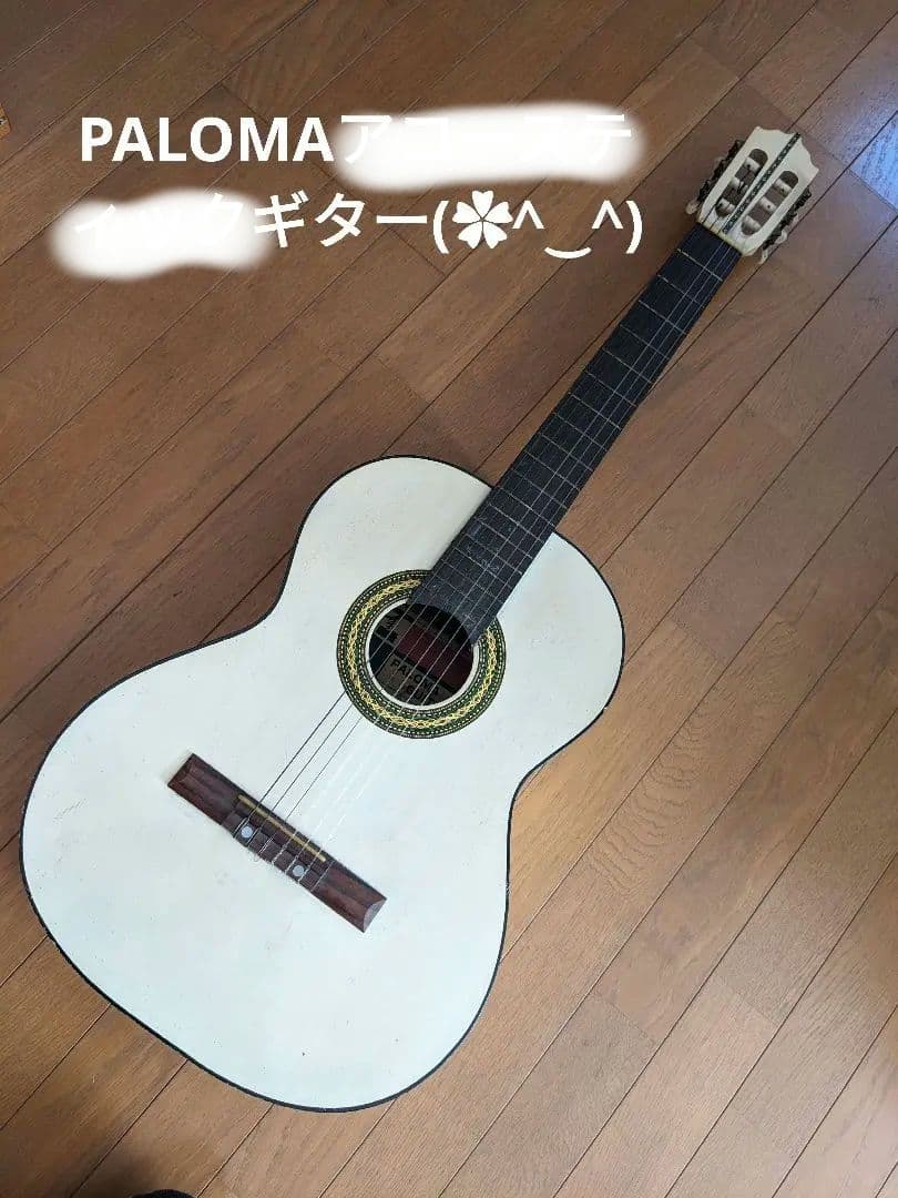 PALOMAアコースティックギター白(⁠ ⁠ꈍ⁠ᴗ⁠ꈍ⁠)