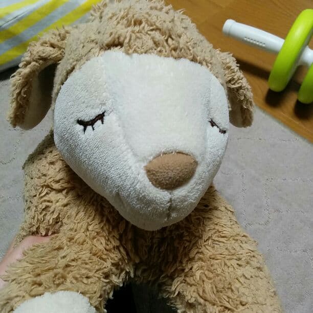ひつじ