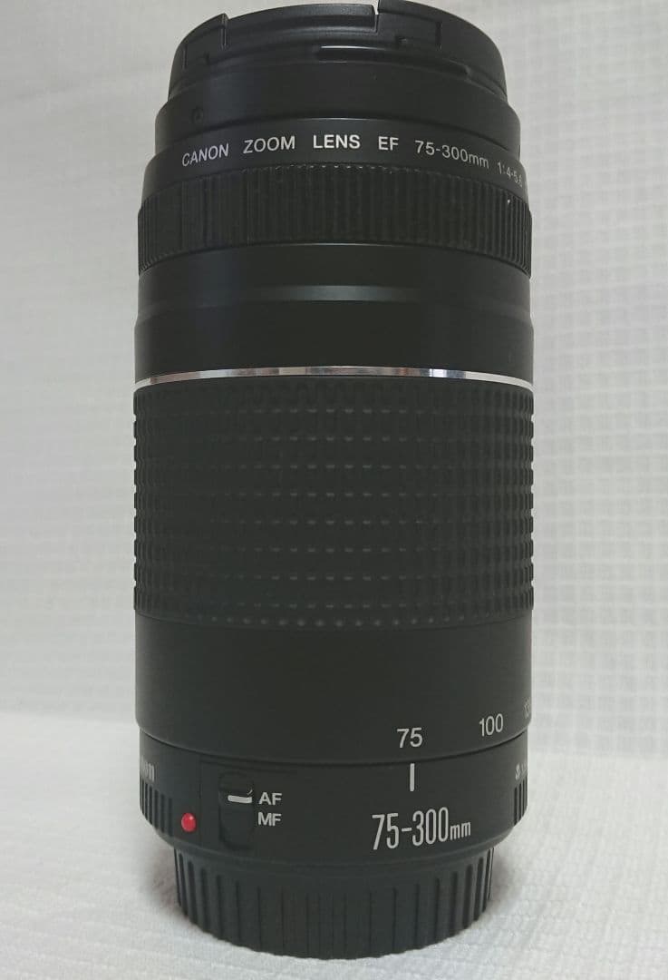 canon EOS Kiss Ⅲ