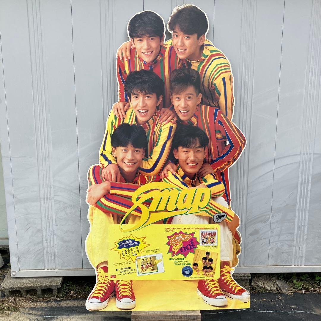 SMAPパネル
