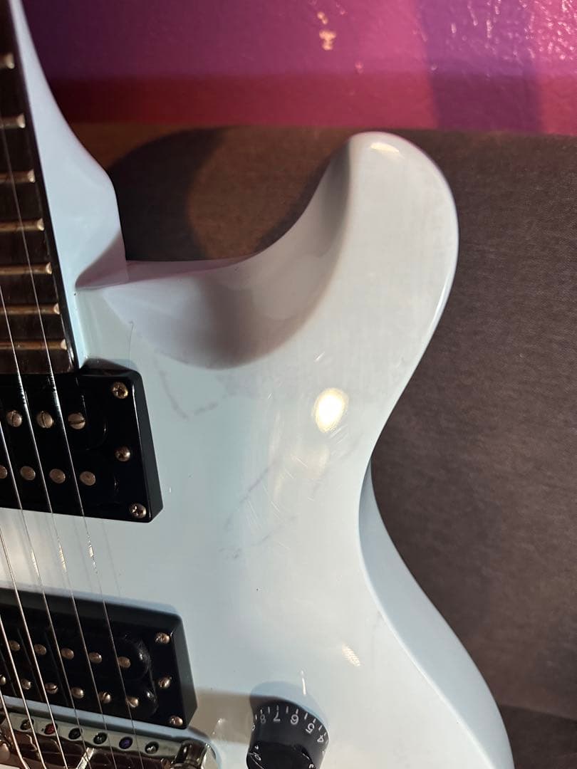 ＰＲＳ　SE Tim Mahoney