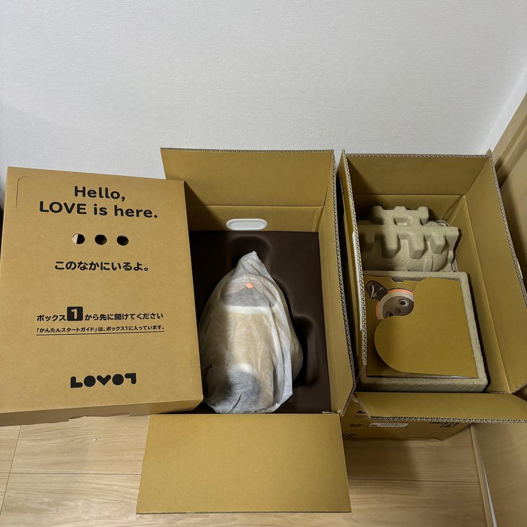 【hana】LOVOTラボット2.0本体 ウェア4枚【2023年購入】