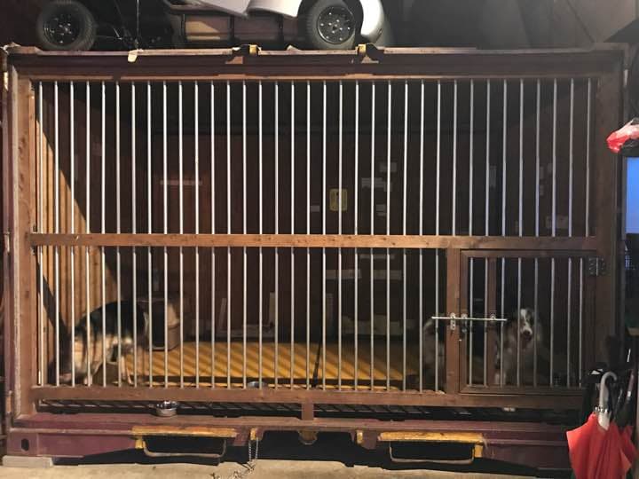 巨大 犬小屋
