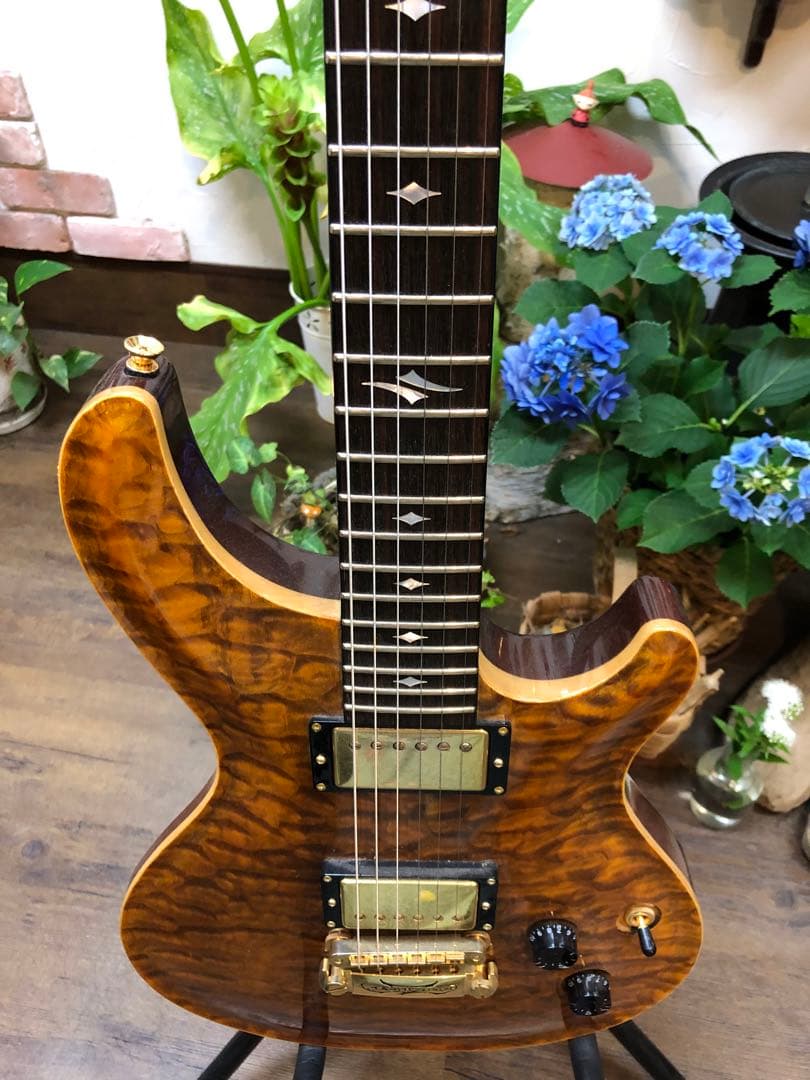 富士弦製DBZ GUITARS Infinity Mondial　T'sPU搭載