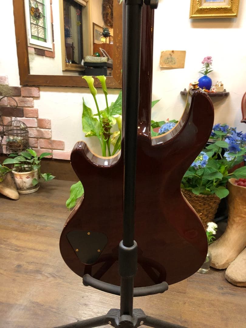 富士弦製DBZ GUITARS Infinity Mondial　T'sPU搭載
