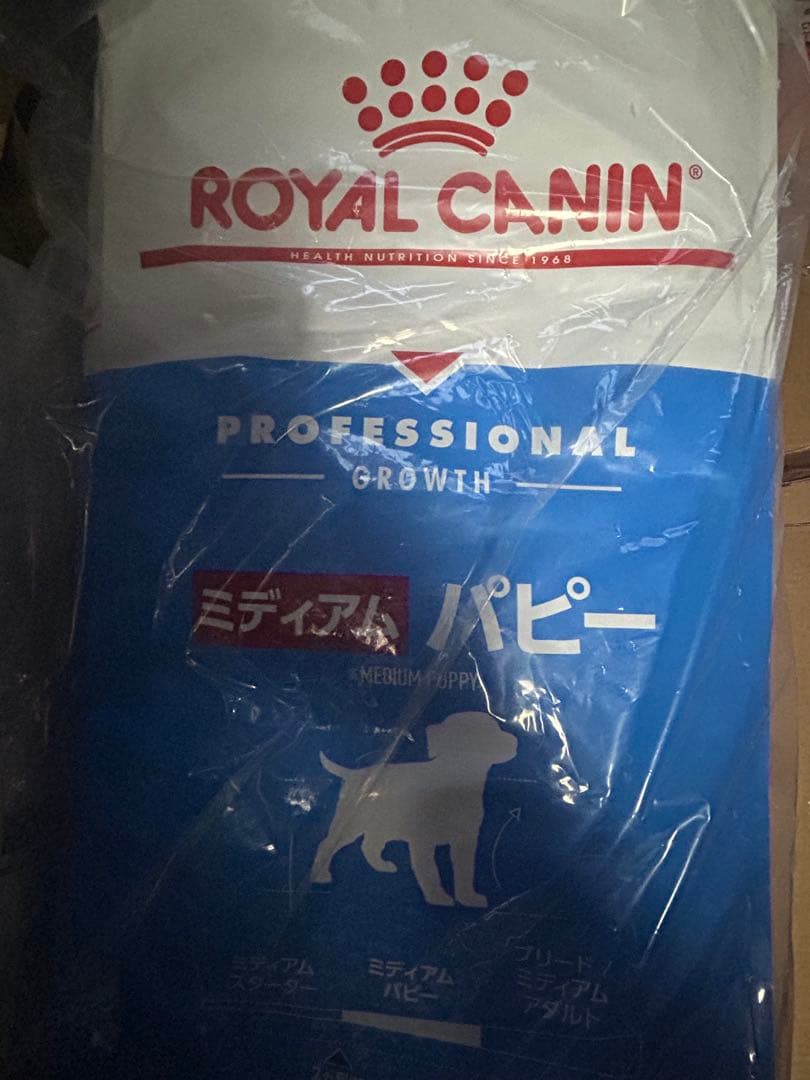 その他 sayaka