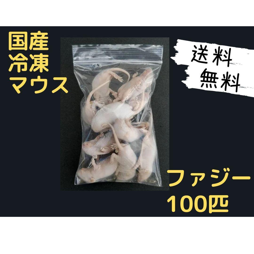 国産冷凍マウス ファジー 100匹 (地域限定送料無料)