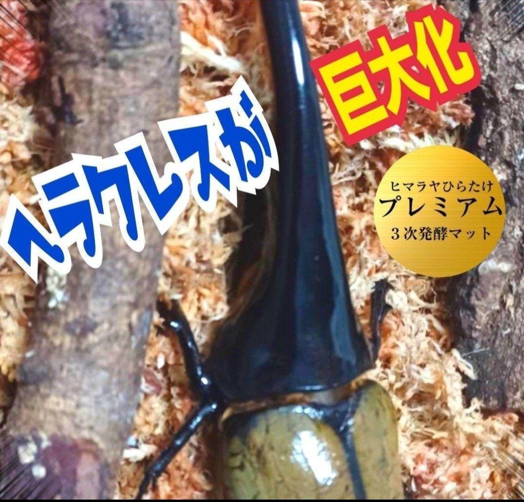 極上！プレミアム発酵ヘラクレスマット【200リットル】ギネスサイズ連発してます！
