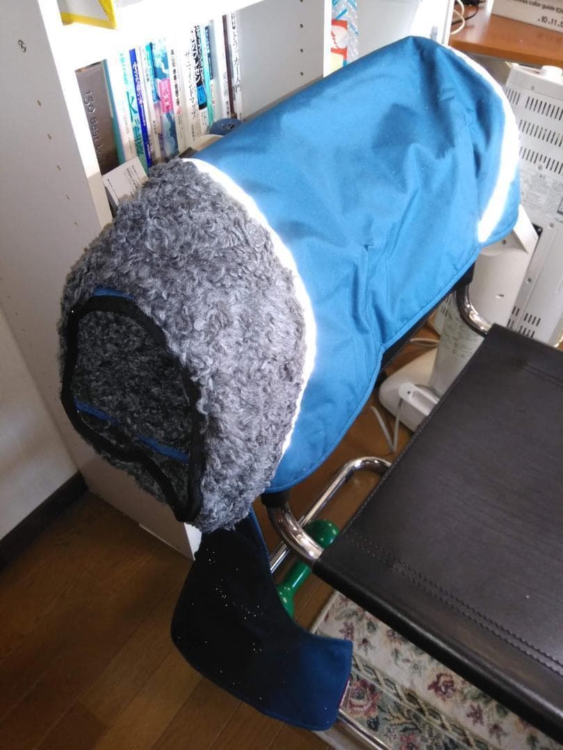 ポムッパ　ペルス　ペトロール　サイズ65