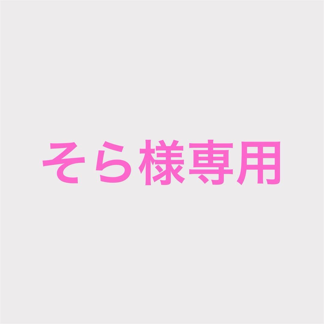 スワロフスキー　各種