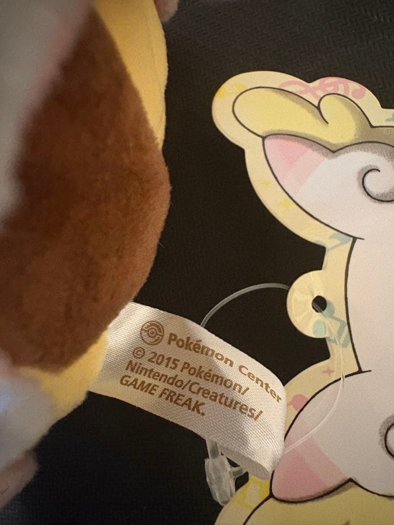 ポケモン メガタブンネのポンチョを着た ピカチュウ ぬいぐるみ タグ付き