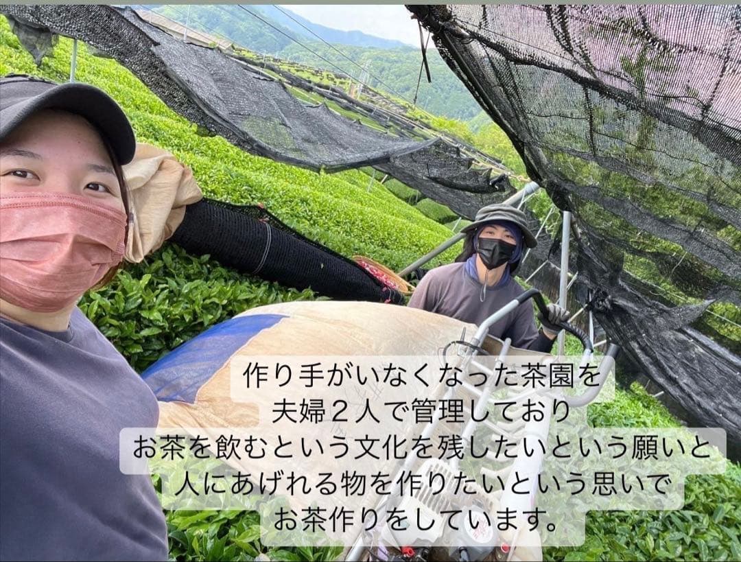 ＊1月のお茶＊5種類飲み比べセット(計20個入り＋ラテ40杯分)