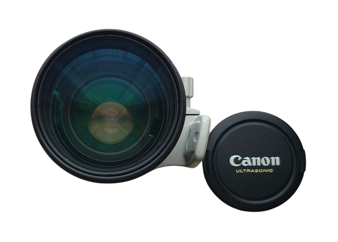 Canon キャノン EF 70-200/2.8 L USM ズームレンズ