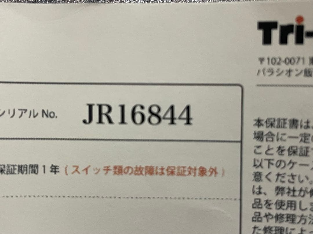 ギター jan ray
