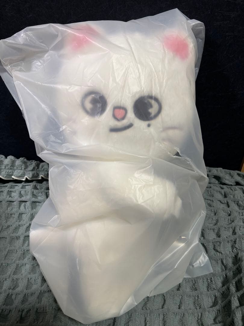 SKZOO PLUSH BAG Jiniret ジニレットStrayKids